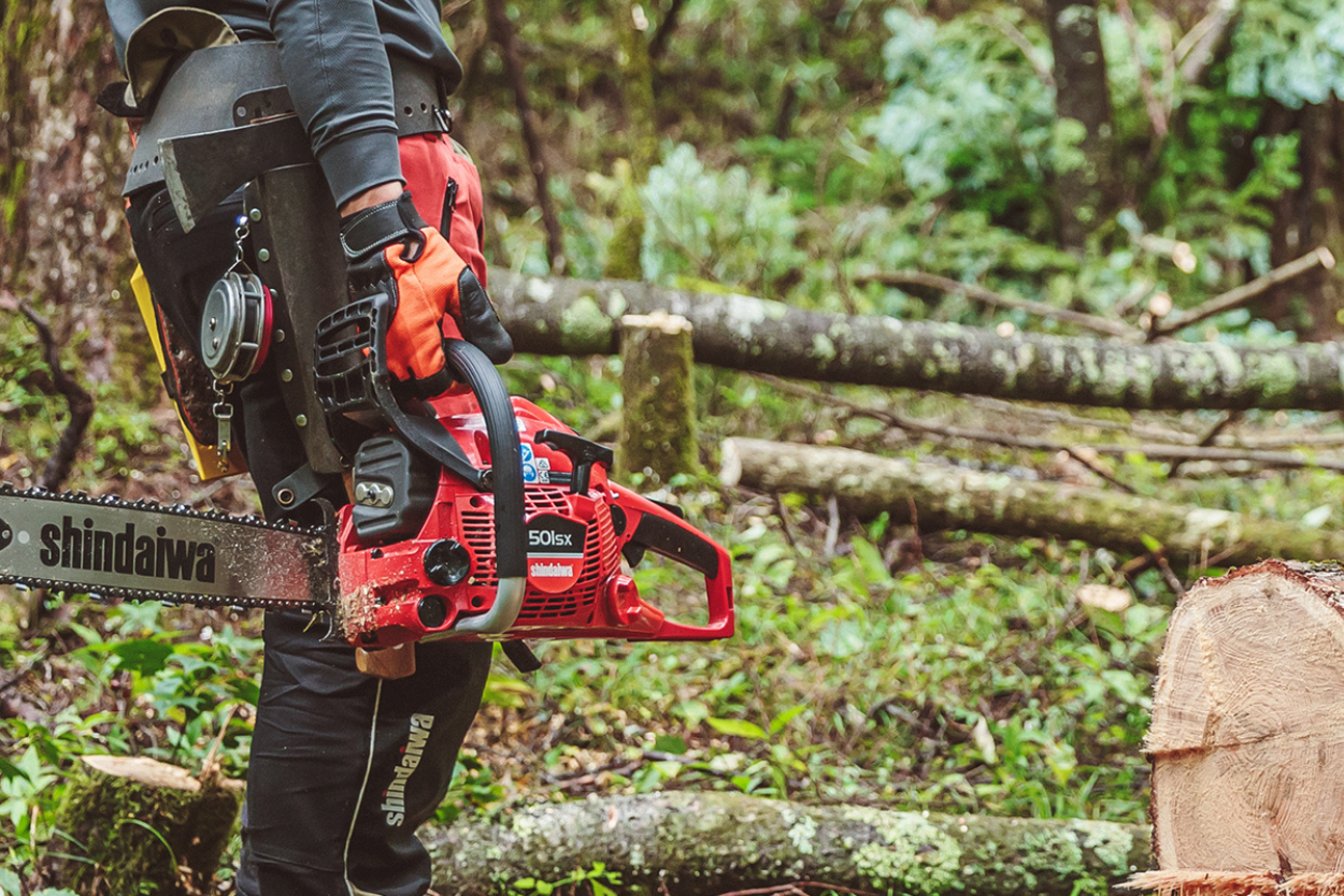 Shindaiwa 501SX 18" Chainsaw