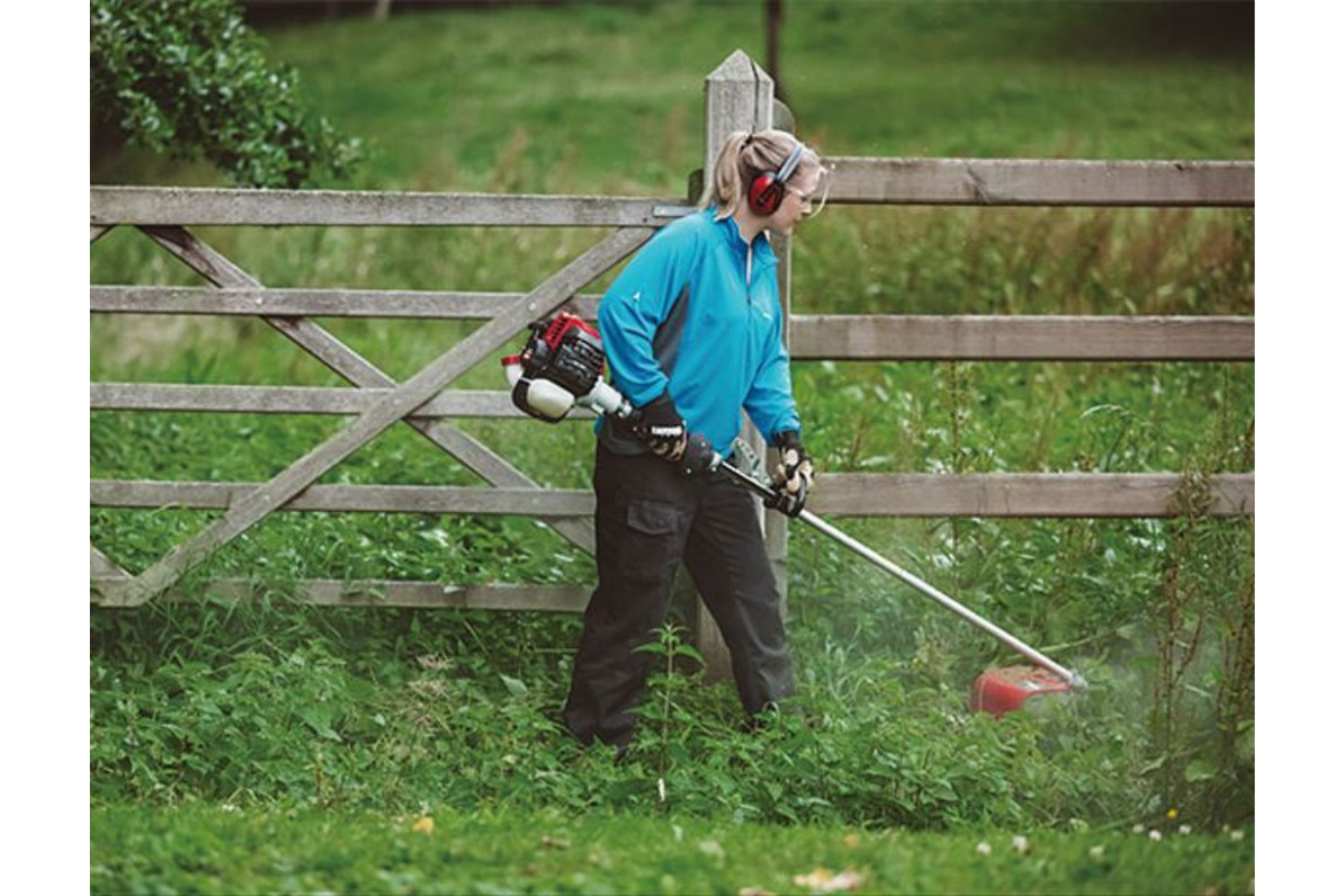 Shindaiwa T303TS 33cc Strimmer