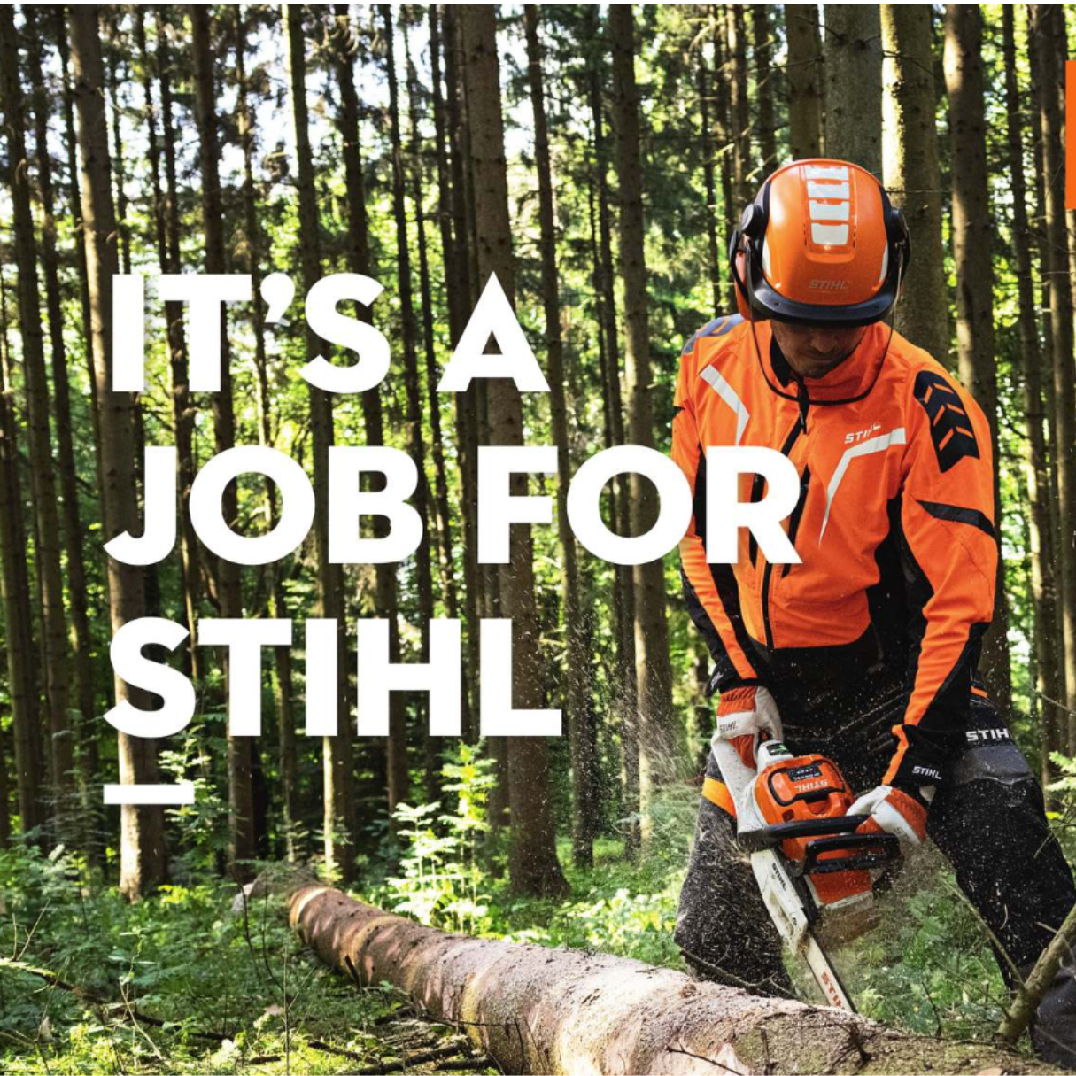 STIHL Autumn Winter 2024