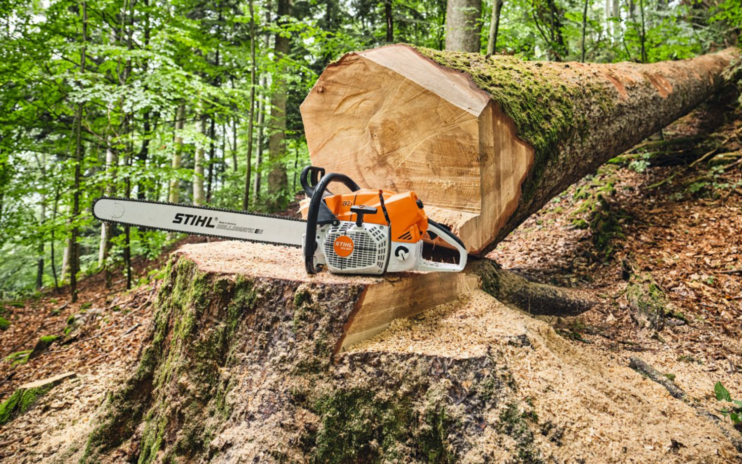STIHL Chainsaws