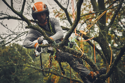 STIHL GTA 40 CORDLESS PRUNER SET
